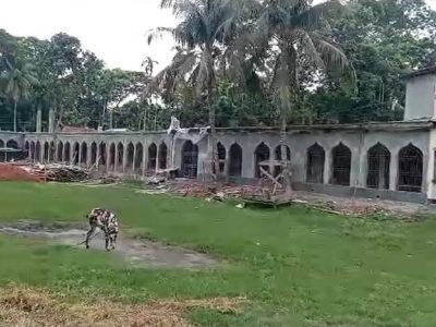 Madrasah Construction